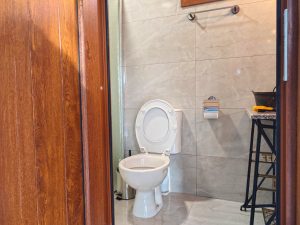 Photo of the bathroom with toilet, shower and uniquely styled sink